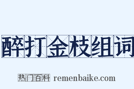 醉打金枝组词是什么意思的图片